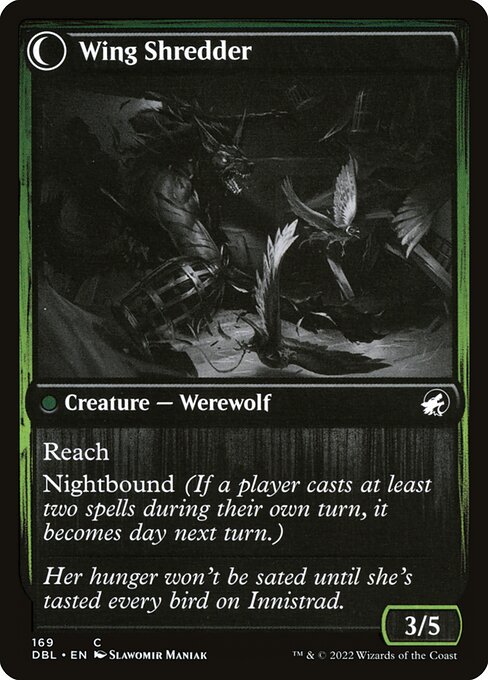 Bird Admirer // Wing Shredder (reverso)