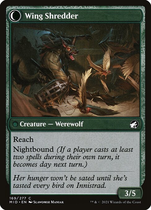 Bird Admirer // Wing Shredder (reverso)