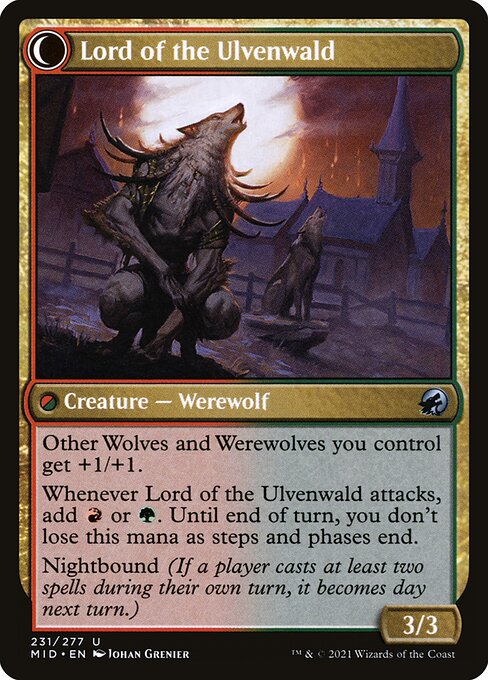 Kessig Naturalist // Lord of the Ulvenwald (reverso)