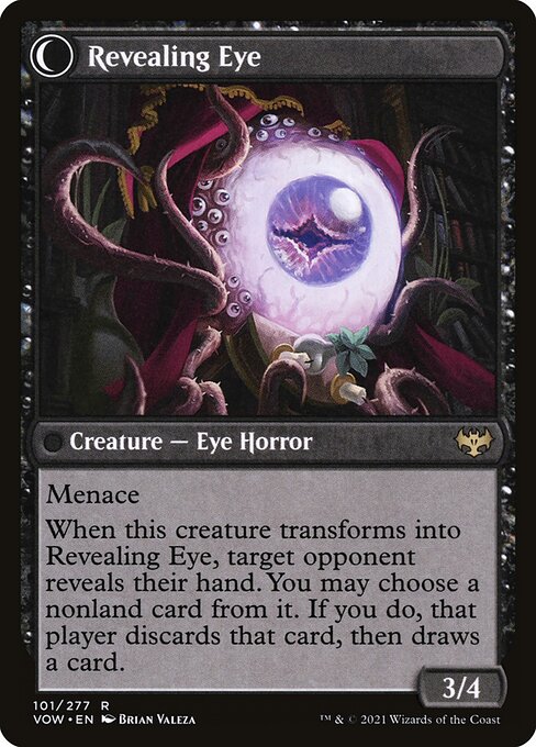 Concealing Curtains // Revealing Eye (reverso)