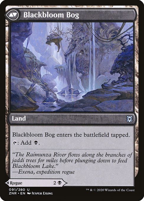 Blackbloom Rogue // Blackbloom Bog (reverso)